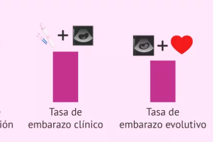 éxito éxito